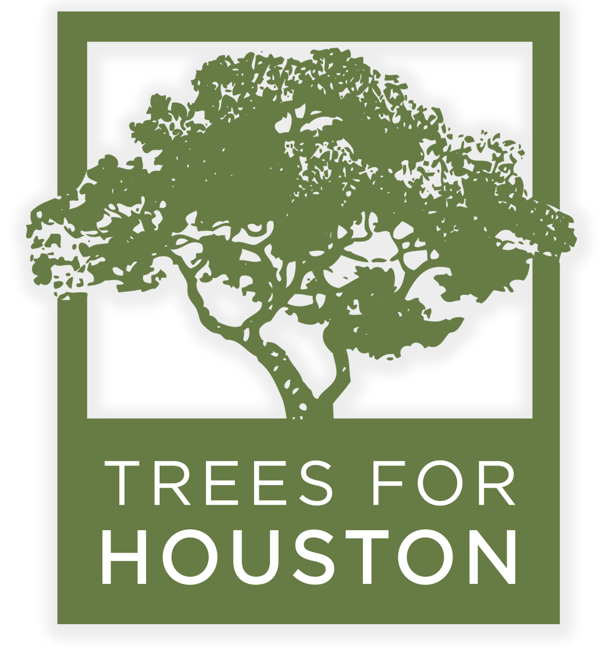 Trees for Houston