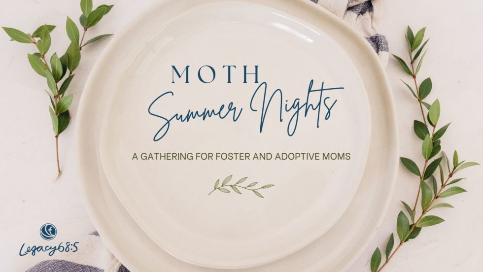 Lp Msn Moth Summer Nights 2025 Ei