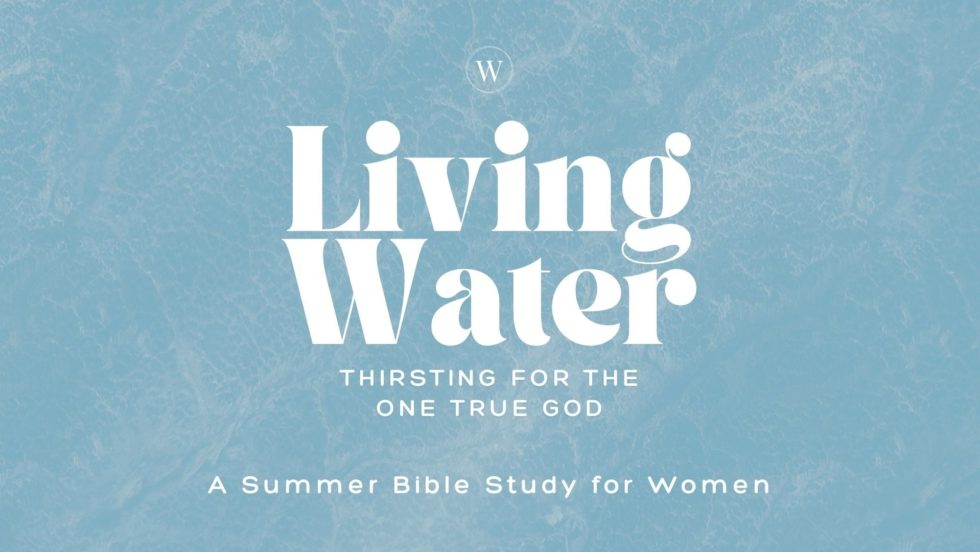 Lp Wom Summer Bible Study 2025 Ei