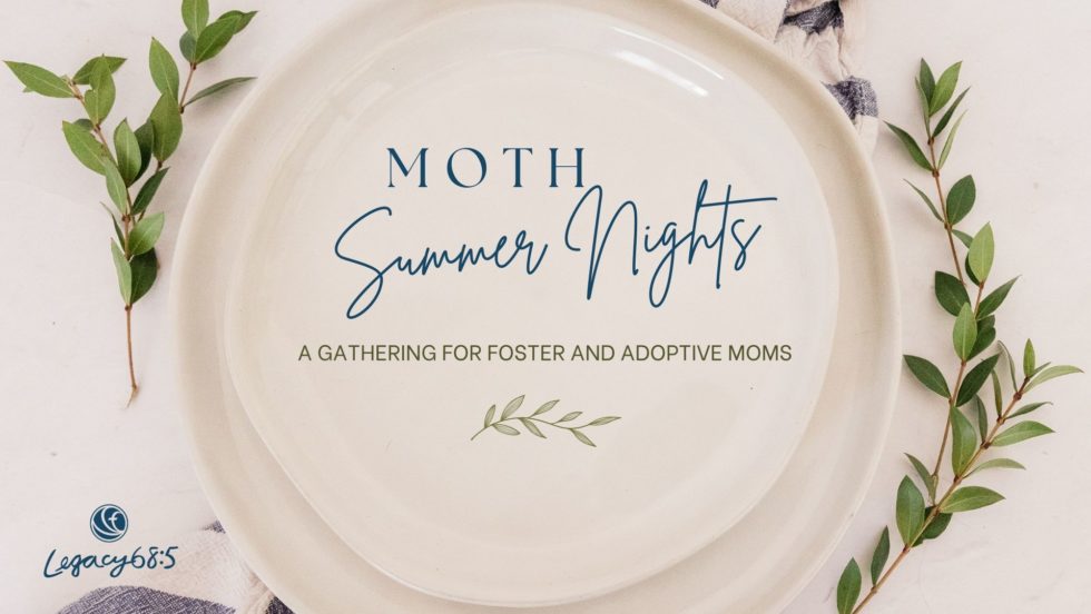 Moth Summer Nights Ei